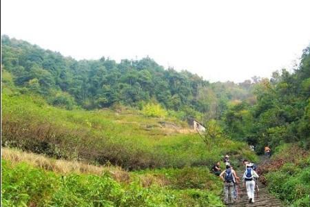 上青古道和余杭古道哪个好