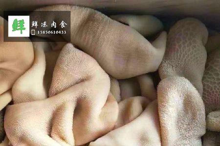 和羊肚连着的是什么