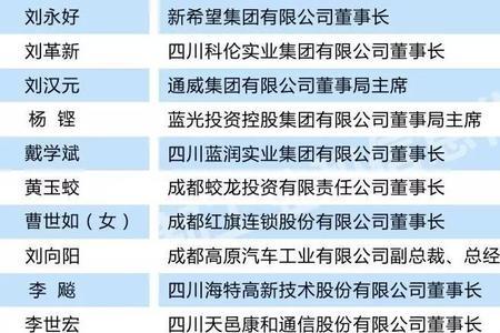 四川民营化工企业排名