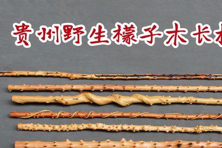 檬子木优缺点