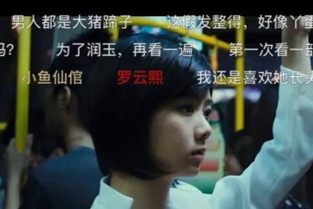 初恋情怀是什么意思