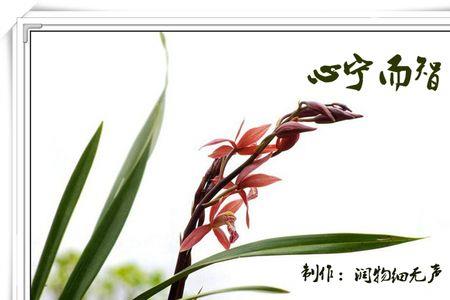 心静平和的意思