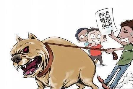 任由处置是什么意思