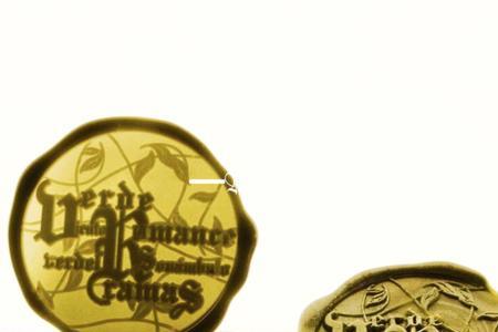 火漆印章没有锅怎么烧