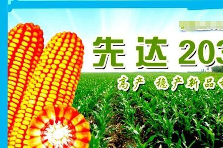 先达和先正达是一家吗