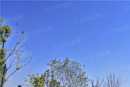 天纵云湖湾属于哪里