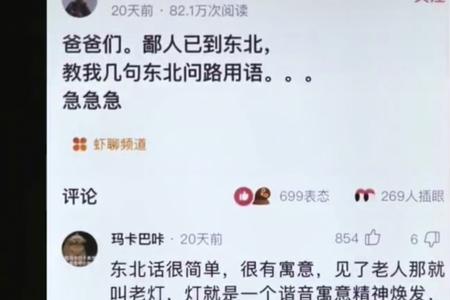 扑喽扑喽东北话啥意思