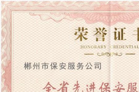 保安证公司没给别人能代替用吗