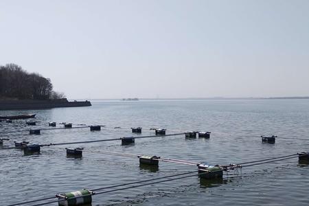 晋阳湖和漳泽水库哪个大