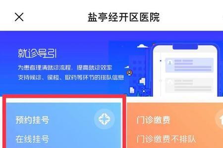 网上预约挂号正高号是什么意思