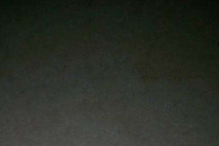 臭虫用冷水洗得掉吗