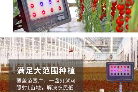 植物补光灯常见故障与维修