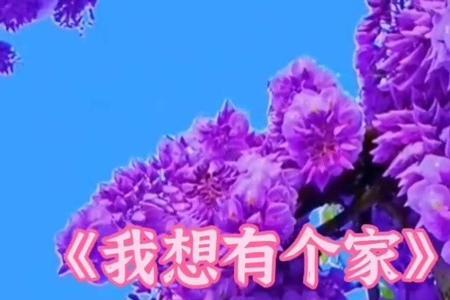 想给一个人一个家是什么歌