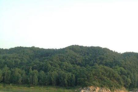 鲁山碱厂温泉门票