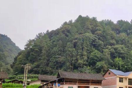 四川最适合隐居的山村