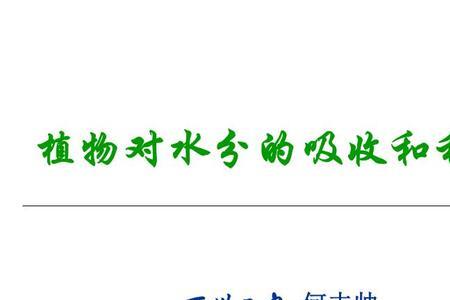 动物发生渗透吸水的原理