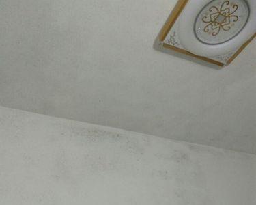 墙壁发霉处理办法