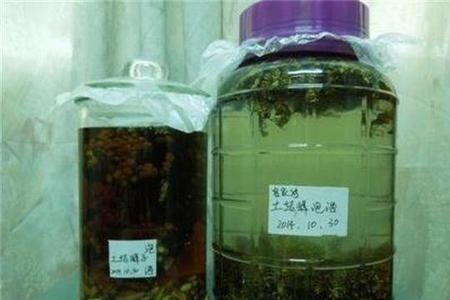 拐枣除了泡酒还可以泡什么