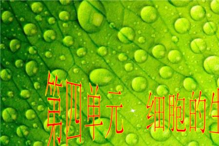 原始多细胞生命是怎么繁殖的