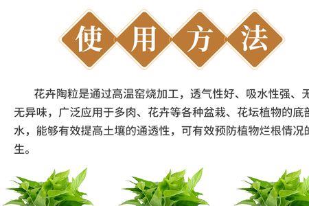 爱丽丝花盆需要铺陶粒吗