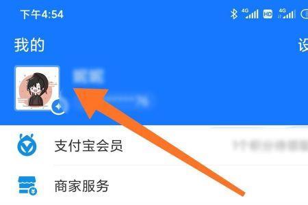支付宝怎么更换保护地