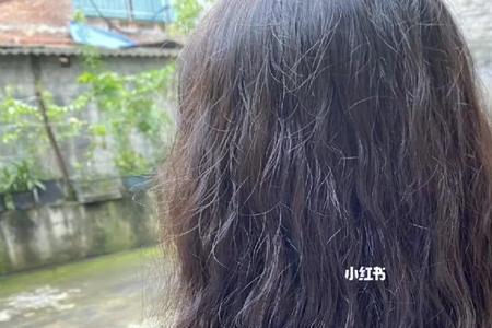 高考进考场可以烫头吗