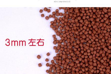 鹦鹉鱼饲料能喂乌龟吗