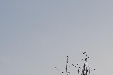 一阵微风吹来像什么造句