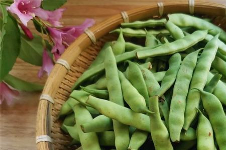 为什么山东没有东北的油豆角
