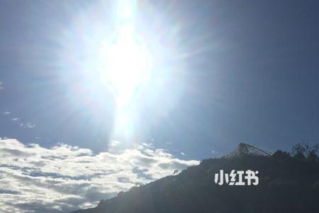如她所愿是什么意思