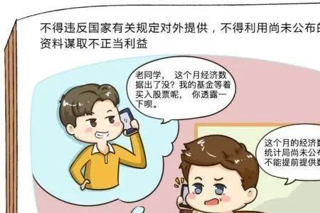 统计执法监督条例
