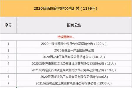 陕西泰鹰科技有限公司是国企么