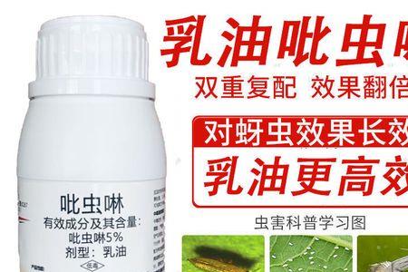氯氟吡虫啉杀红蜘蛛吗