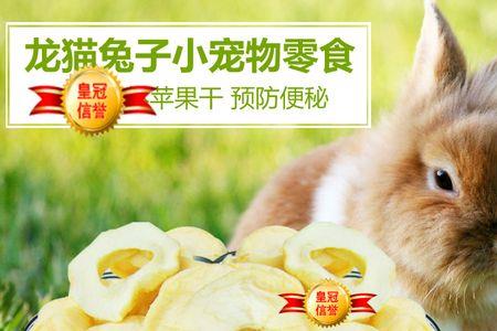 仓鼠吃的苹果干用烤箱怎么烘