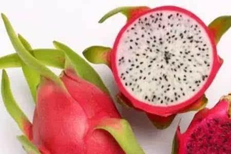火龙果红色号有什么