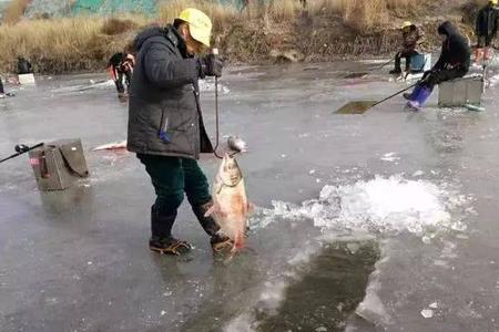 冬季鲤鱼炸水怎么回事