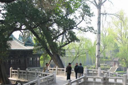 鱼沼什么意思