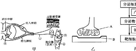 稳态失衡的原因