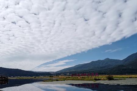 蔚为观止的蔚为是什么意思