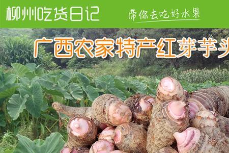 广西特产宝贝