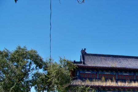齐市大乘寺开放时间