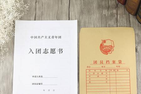 个人档案里缺入团志愿书怎么办