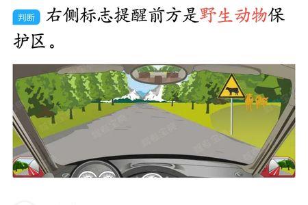 科目四熄火扣几分