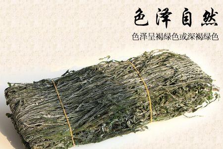 鲜的新海带几斤烘干一斤