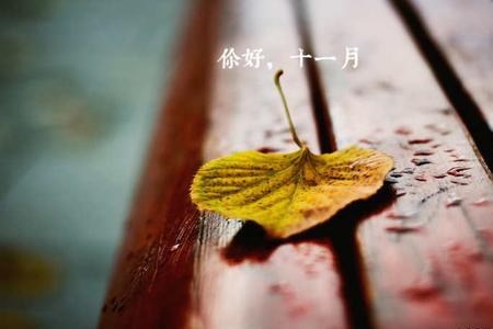 十一月农历怎么写