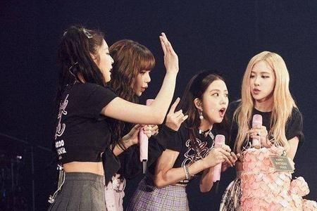blackpink的粉丝群应该叫什么