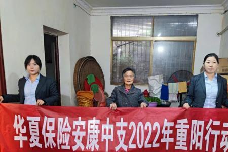 什么是安康保险