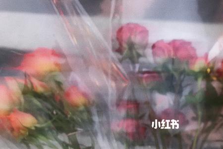 只盼此爱不渝什么意思