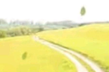 迷茫路在何方是什么意思