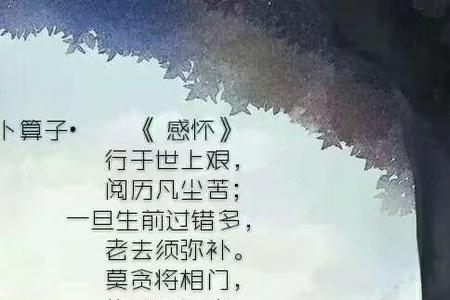 形容人阅历丰富最著名的诗句